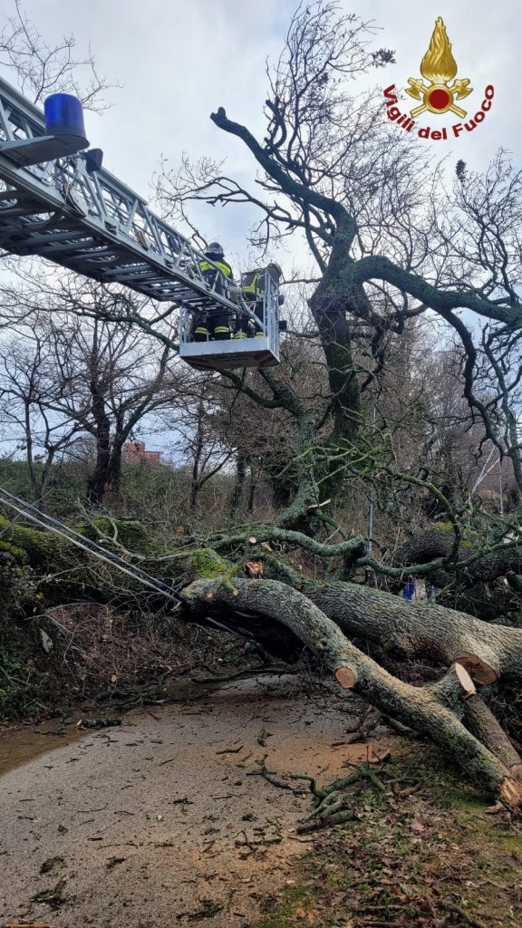 vigili fuoco a sant'elena sannita